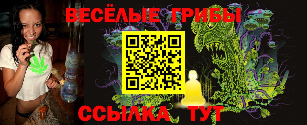 Псилоцибиновые грибы Psilocybine cubensis Пугачёв