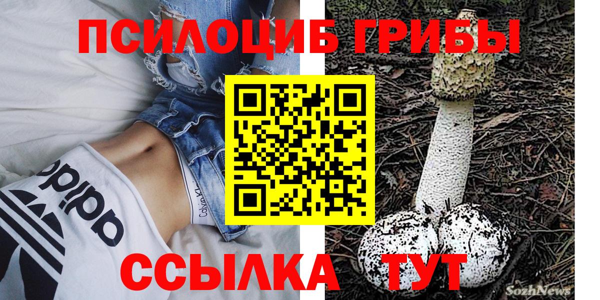 Галлюциногенные грибы MAGIC MUSHROOMS  Вход с VPN  Галлюциногенные грибы Magic Shrooms  Пугачёв 